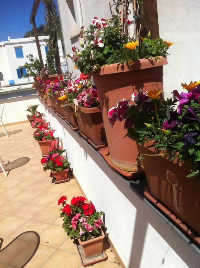 B&B Celestina Ischia Lacco Ameno  ภายนอก รูปภาพ