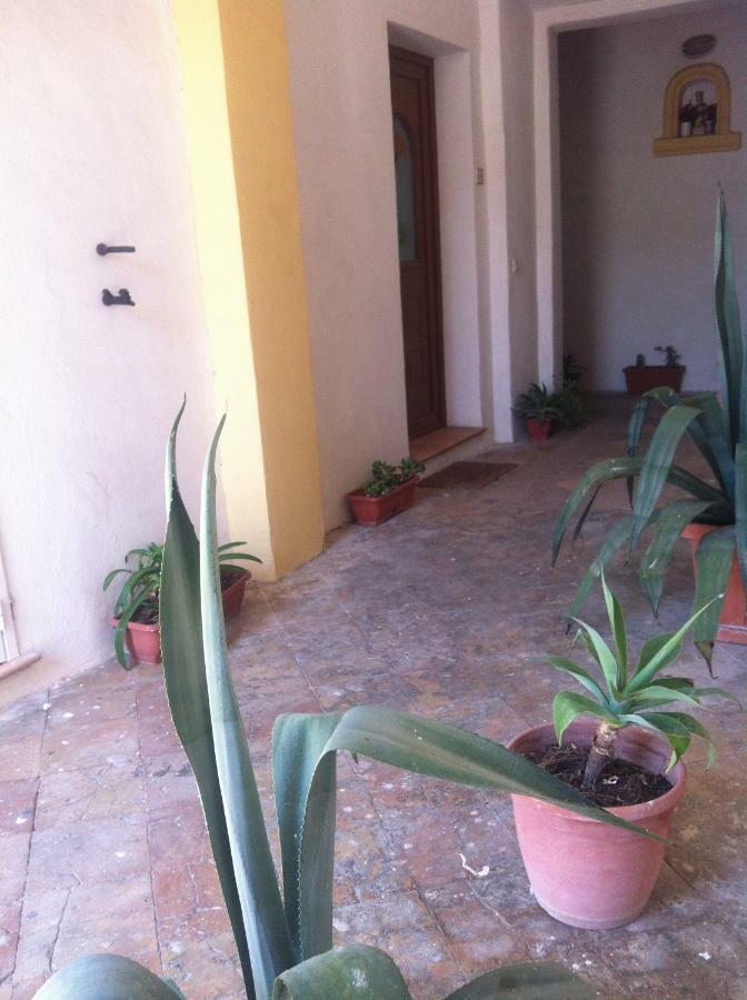 B&B Celestina Ischia Lacco Ameno  ภายนอก รูปภาพ
