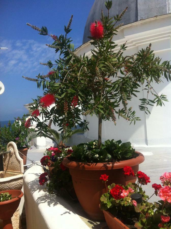 B&B Celestina Ischia Lacco Ameno  ภายนอก รูปภาพ